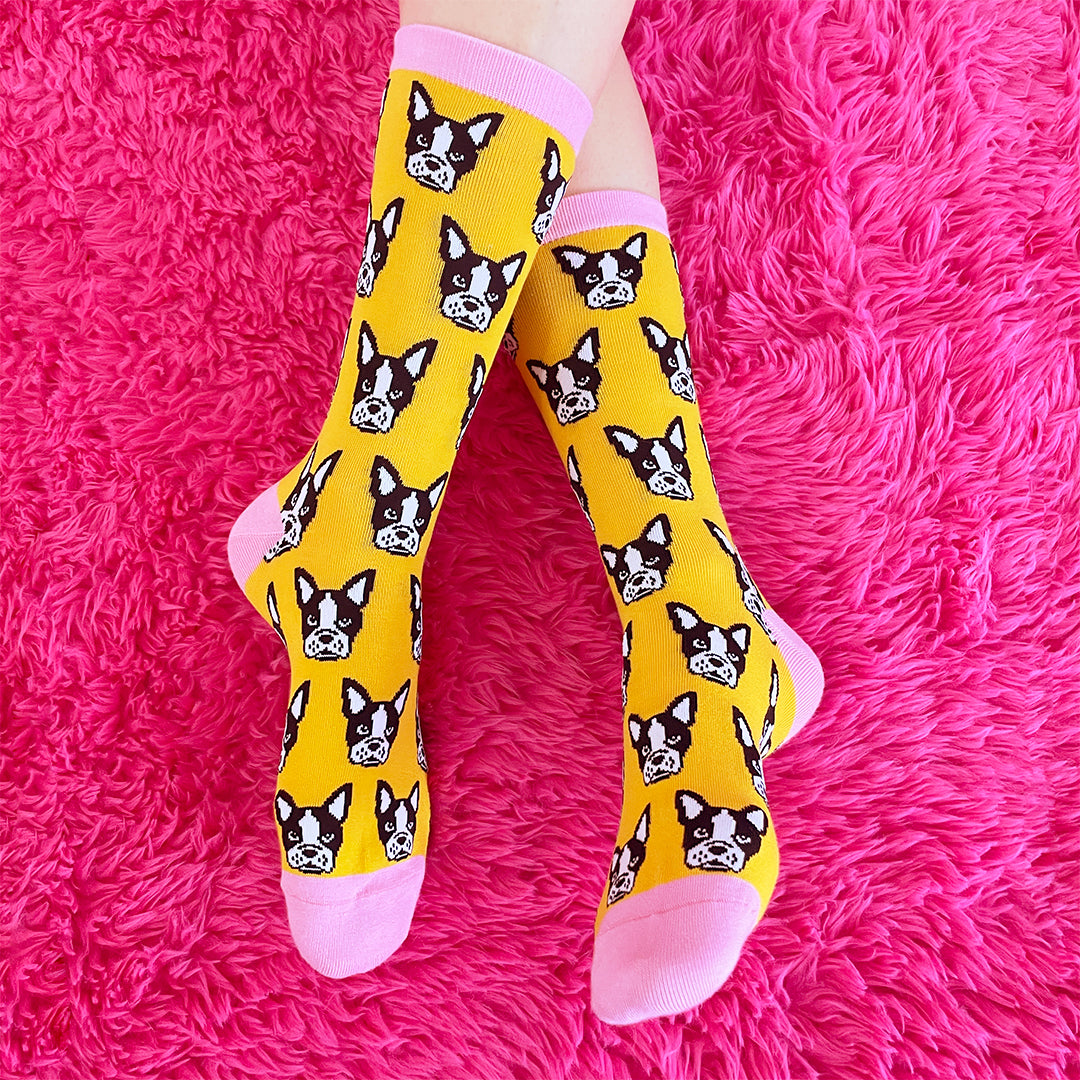 Boston Terrier socks
