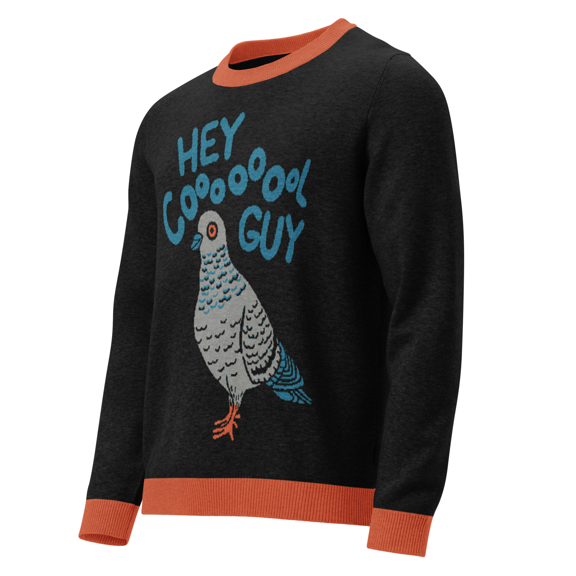 Cool Pigeon Knitted Crew Neck Sweater