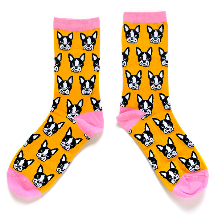 Boston Terrier socks