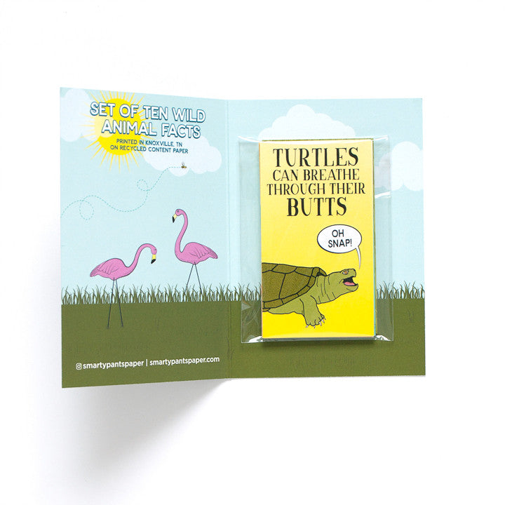 Wild Card Lunch Box Notes