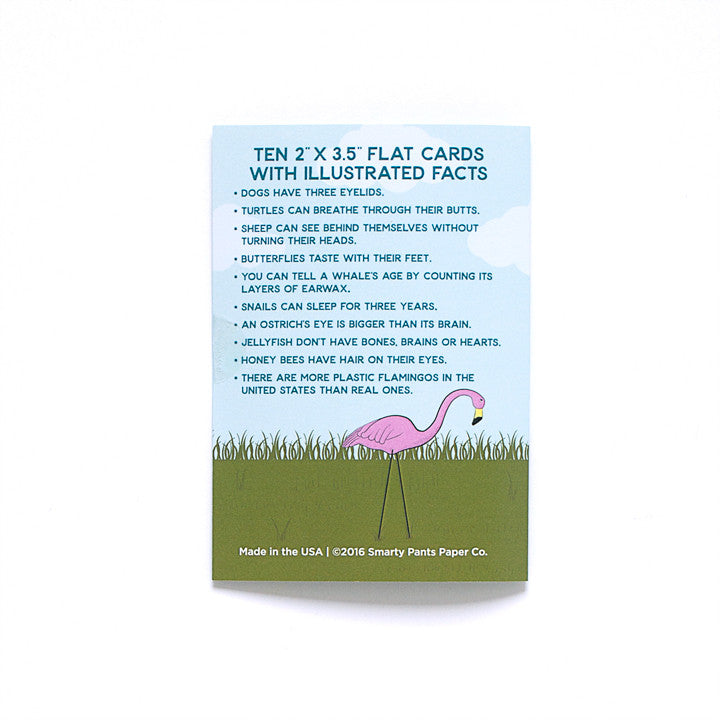 Wild Card Lunch Box Notes